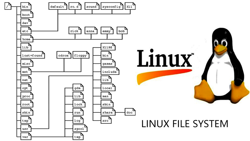 Python / Bash scripting