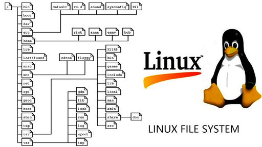 Python / Bash scripting